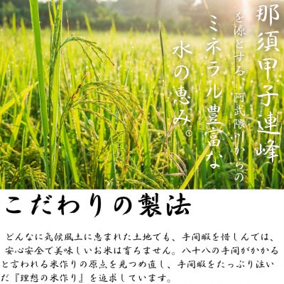 令和6年産米 白河浪慢ひとめぼれ&こしひかりセット 計10kg 精米