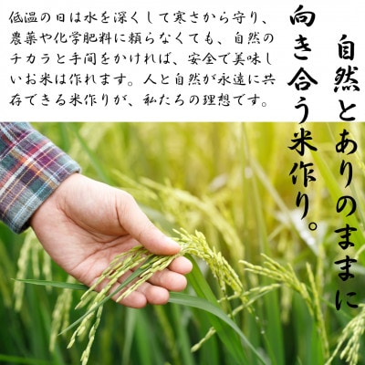 令和6年産米 白河浪慢ひとめぼれ&こしひかりセット 計10kg 精米