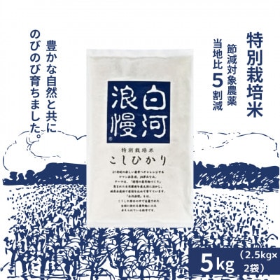 令和6年産【特別栽培米】白河浪慢こしひかり 節減対象農薬:当地比5割減 5kg 精米