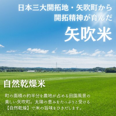 【R6年産】開拓の町やぶきの古代米 3袋セット(自然乾燥)