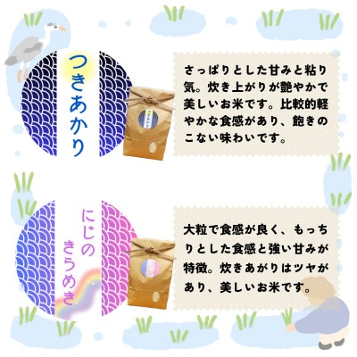 令和6年産/お米4種食べくらべ!にじのきらめき&ミルキークイーン&つきあかり&ひとめぼれ 各2kg