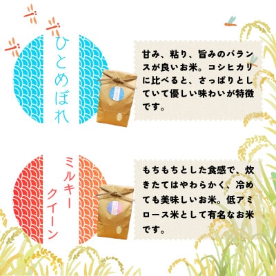 令和6年産/お米4種食べくらべ!にじのきらめき&ミルキークイーン&つきあかり&ひとめぼれ 各2kg
