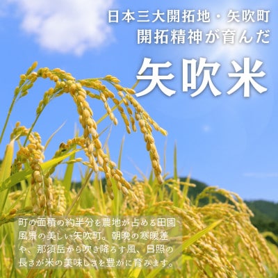 令和6年産/お米4種食べくらべ!にじのきらめき&ミルキークイーン&つきあかり&ひとめぼれ 各2kg