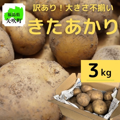 【訳あり】サイズ色々!不揃いじゃがいも(きたあかり)3kg詰め合わせ