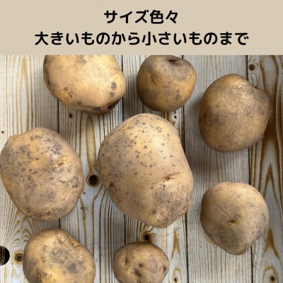 【訳あり】サイズ色々!不揃いじゃがいも(きたあかり)3kg詰め合わせ