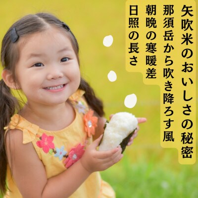 【令和6年産】〈無洗米〉　福島県矢吹町の美味しいお米!にじのきらめき10kg(5kg×2)