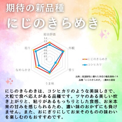 【令和6年産】〈無洗米〉　福島県矢吹町の美味しいお米!にじのきらめき10kg(5kg×2)