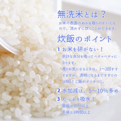 【令和6年産】〈無洗米〉　福島県矢吹町の美味しいお米!にじのきらめき10kg(5kg×2)