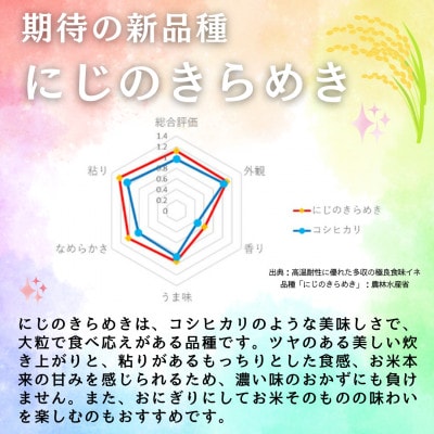 令和6年産米【無洗米】お米2種食べ比べ!こしひかり・にじのきらめき　各2キロ　合計4キロ