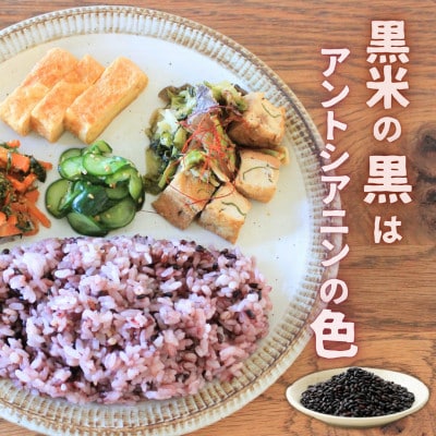 【令和6年産】開拓の町やぶきの古代米 5袋(1kg)セット(自然乾燥)