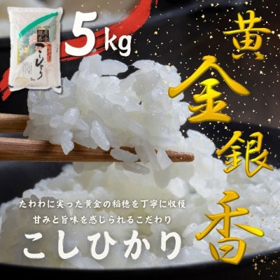 ～黄金銀香～〈福島県産〉コシヒカリ5kg(精米)甘みと旨味が感じられるこだわりの米