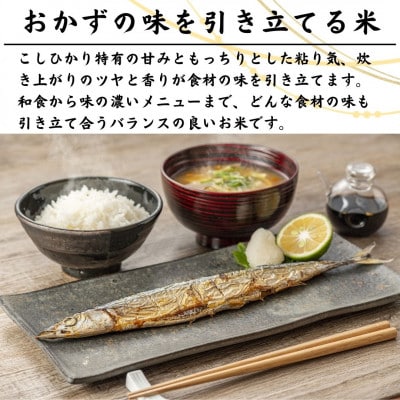 ～黄金銀香～〈福島県産〉コシヒカリ5kg(精米)甘みと旨味が感じられるこだわりの米
