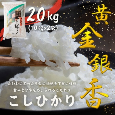 ～黄金銀香～〈福島県産〉コシヒカリ20kg(10kg×2)(精米)甘みと旨味が感じられるこだわりの米