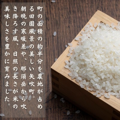 ～黄金銀香～〈福島県産〉コシヒカリ20kg(10kg×2)(精米)甘みと旨味が感じられるこだわりの米