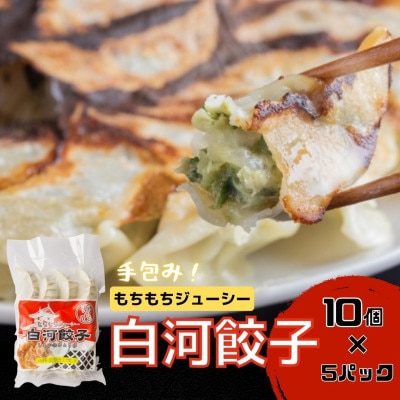 モチモチジューシーな白河餃子10個入り×5袋セット【岡崎農園の定番製品】