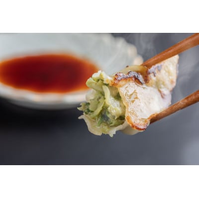 モチモチジューシーな白河餃子10個入り×5袋セット【岡崎農園の定番製品】