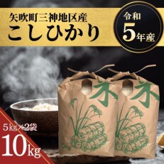【先行受付】令和5年産　こしひかり(矢吹町三神地区産)10kg(5kg×2)