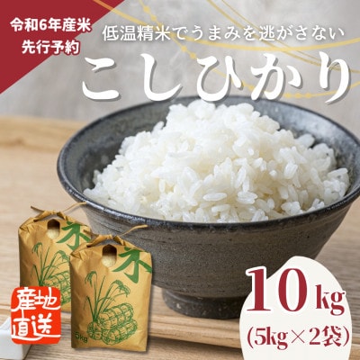 【先行受付】令和6年産　こしひかり(矢吹町三神地区産)10kg(5kg×2)