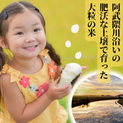 【先行受付】令和6年産　こしひかり(矢吹町三神地区産)10kg(5kg×2)