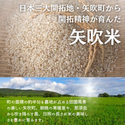 【先行受付】令和6年産　こしひかり(矢吹町三神地区産)10kg(5kg×2)