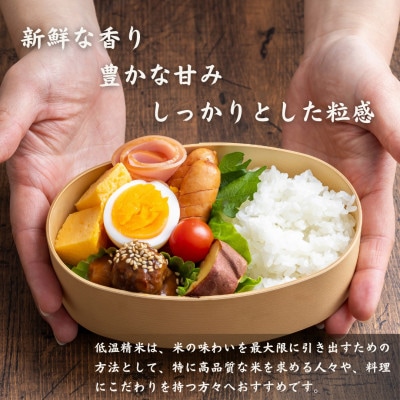 【先行受付】令和6年産　こしひかり(矢吹町三神地区産)10kg(5kg×2)