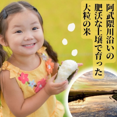 【先行受付】令和6年産〈無洗米〉　こしひかり(矢吹町三神地区産)5kg