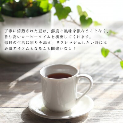 【酸味系オリジナルブレンドコーヒー!】SUN'S ブレンド ライト 豆(120g×3本)