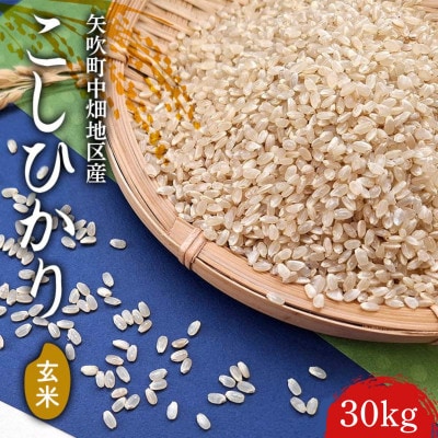 【令和7年産】矢吹町中畑地区産こしひかり 玄米 30kg(30kg×1袋)