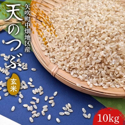 【令和7年産】矢吹町中畑地区産天のつぶ 玄米 10kg(5kg×2袋)