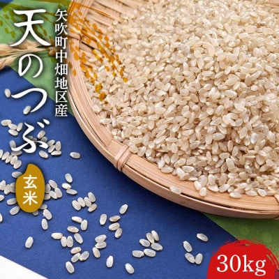 【令和7年産】矢吹町中畑地区産天のつぶ 玄米 30kg(30kg×1袋)