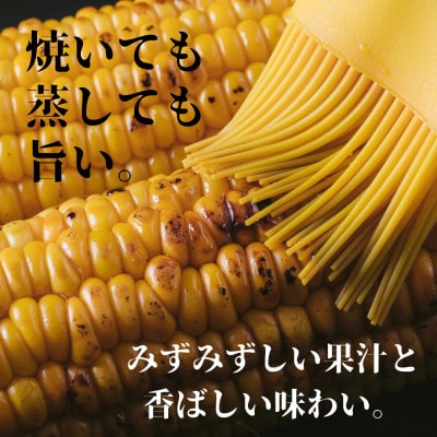 たっぷりの日光を浴びて育ったイエロー系とうもろこし【5kg 12～13本入り】