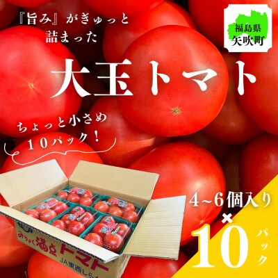 ミネラル豊富な畑から採れた大玉だけどちょっと小ぶりなトマト!【4～6個入り×10パック】