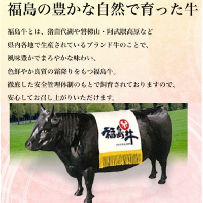 福島牛サーロインステーキ　【200g×2枚】