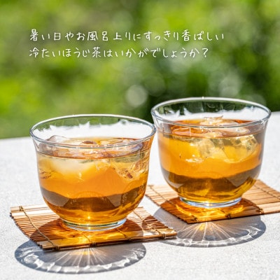 ノンカフェインはとむぎ茶 ティーバッグ100個入り