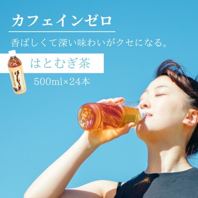 【はとむぎ茶】白河地方特産ノンカフェイン(ペットボトル500ml×24本)×1箱