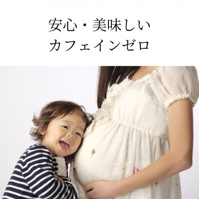 【はとむぎ茶】白河地方特産ノンカフェイン(ペットボトル500ml×24本)×1箱