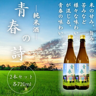 【農業短期大学校と大天狗酒造が連携して製造!】純米酒 青春の詩 各720ml