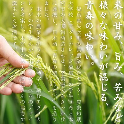 【農業短期大学校と大天狗酒造が連携して製造!】純米酒 青春の詩 各720ml