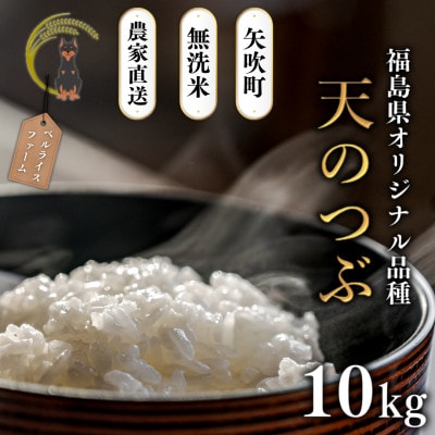 【令和7年産米先行受付】無洗米 農家直送 ベルライスファームの天のつぶ 10kg