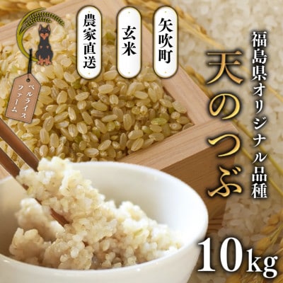 【令和7年産米先行受付】玄米 農家直送 ベルライスファームの天のつぶ 10kg