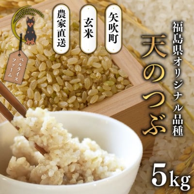【令和7年産米先行受付】玄米 農家直送 ベルライスファームの天のつぶ 5kg