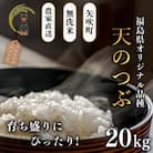 【令和7年産米先行受付】無洗米 農家直送 ベルライスファームの天のつぶ 20kg　育ち盛り応援パック