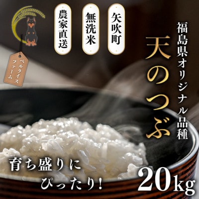 【令和7年産米先行受付】無洗米 農家直送 ベルライスファームの天のつぶ 20kg　育ち盛り応援パック