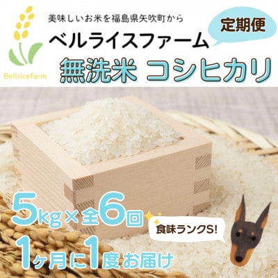 【毎月定期便】農家直送 ベルライスファームのコシヒカリ無洗米5kg 1.9ミリ 食味ランクS全6回
