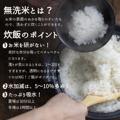 【毎月定期便】農家直送 ベルライスファームのコシヒカリ無洗米5kg 1.9ミリ 食味ランクS全6回