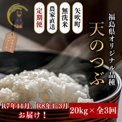 【発送月固定定期便】【2025年11月より順次発送予定】無洗米 農家直送 天のつぶ 20kg全3回