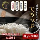 【発送月固定定期便】【2026年2月より順次発送予定】無洗米 農家直送 天のつぶ 5kg全3回