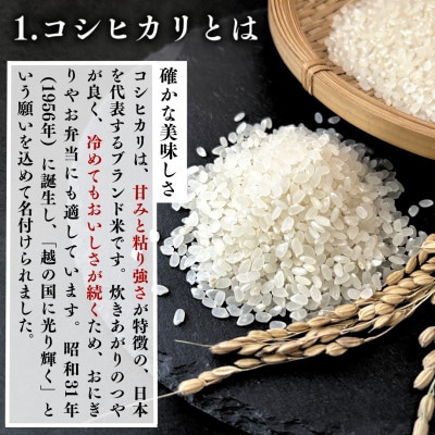 【発送月固定定期便】福島県 矢吹町 無洗米 農家直送 コシヒカリ 5kg全3回