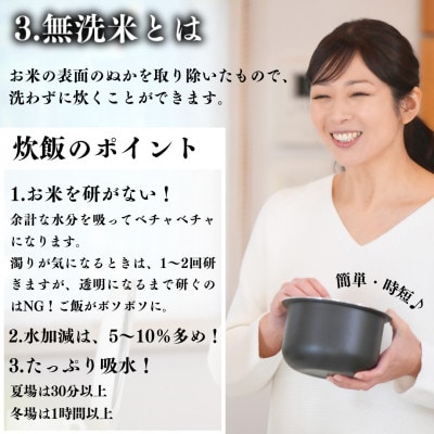 【発送月固定定期便】【2027年2月より順次発送予定】無洗米 農家直送 天のつぶ 5kg全3回