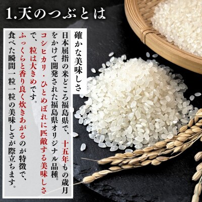 【発送月固定定期便】【2027年6月より順次発送予定】無洗米 農家直送 天のつぶ 5kg全3回